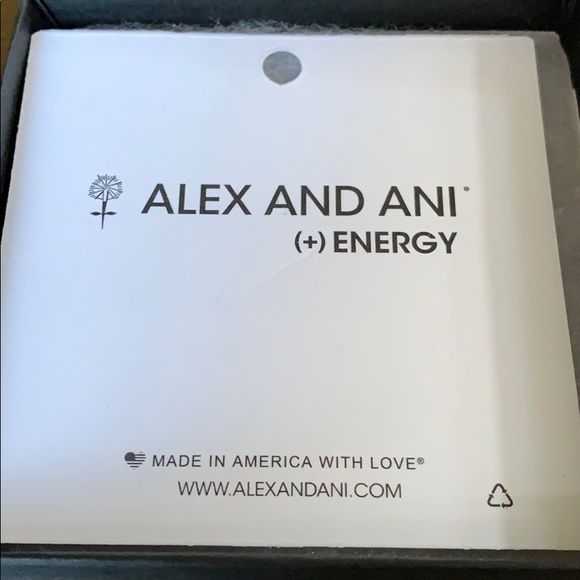 NWT Alex and Ani + Energy Expandable Bangle - Picture 3 of 6